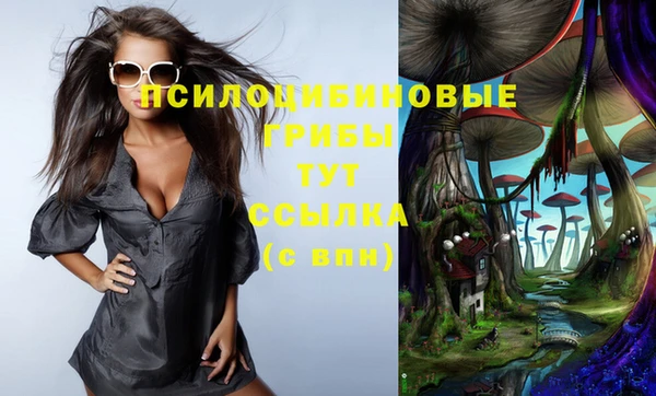 мескалин Кинешма
