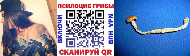 Купить закладки Покров Галлюциногенные грибы мухоморы