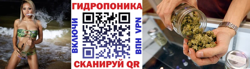 Купить где Покров Шишки марихуана SATIVA & INDICA
